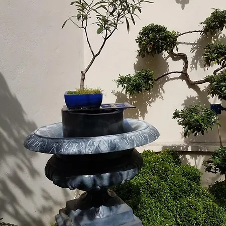 Le Soleil Du Lion D'hotes * אראס